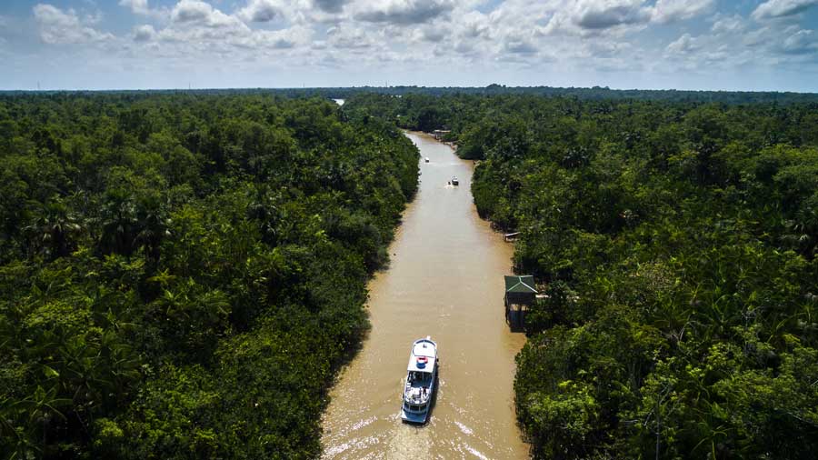 Amazonas-bei-Belem